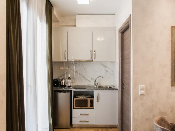 Nicholas Point Apartments and Rooms : photo 9 de la chambre suite 1 chambre