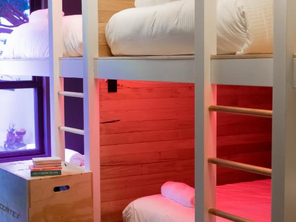 The Blue Hotel Bondi : photo 5 de la chambre blue group suite