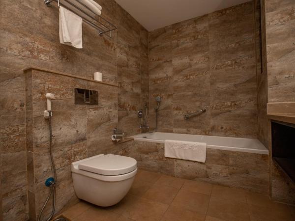 Hotel Tibet International : photo 8 de la chambre chambre boutique