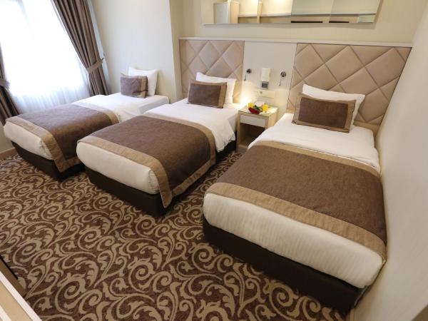 Alpinn Hotel Istanbul : photo 3 de la chambre chambre triple