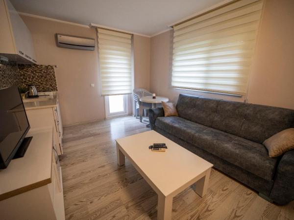 Silver Tower Residence : photo 3 de la chambre suite - vue sur ville