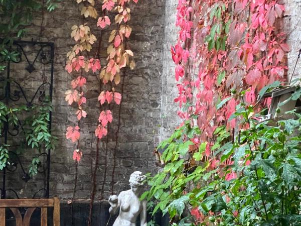 Hotel Gunia : photo 1 de la chambre appartement 2 pièces avec terrasse