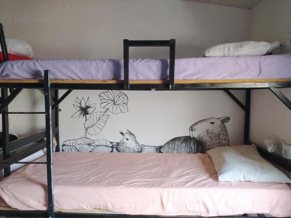 Solar Hostel Búzios : photo 7 de la chambre bed in 14-bed mixed dormitory room 