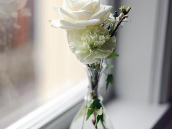 Hilma Winblads Bed & Breakfast : photo 4 de la chambre chambre simple Économique avec salle de bains commune