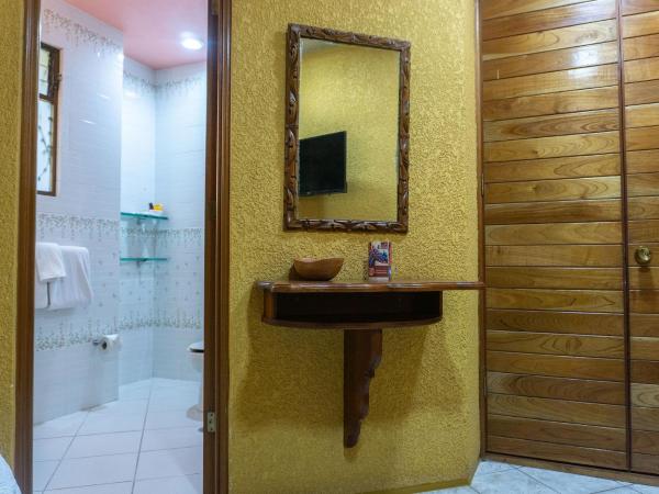 Hotel Casa Pereyra : photo 4 de la chambre chambre standard lit queen-size