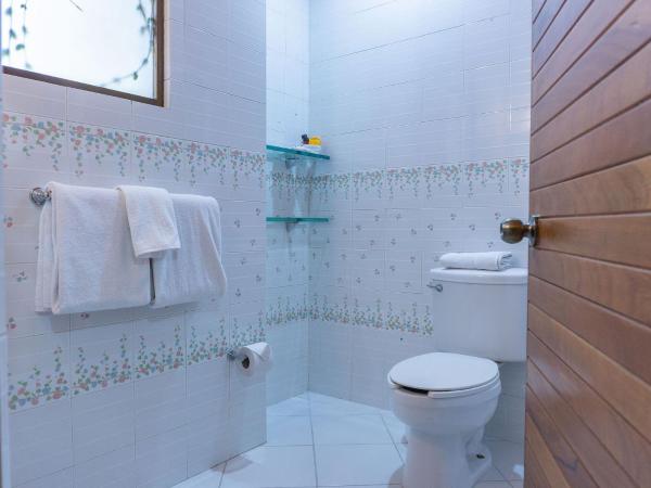 Hotel Casa Pereyra : photo 6 de la chambre chambre standard lit queen-size