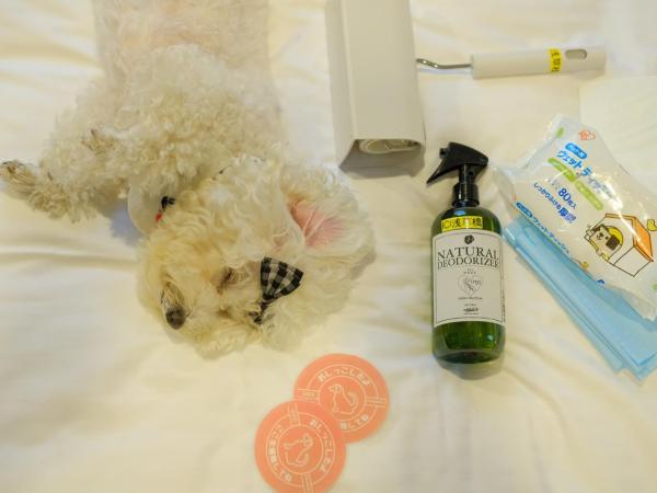 ICI HOTEL Asakusabashi : photo 6 de la chambre chambre double - non-fumeurs - 1 chien admis