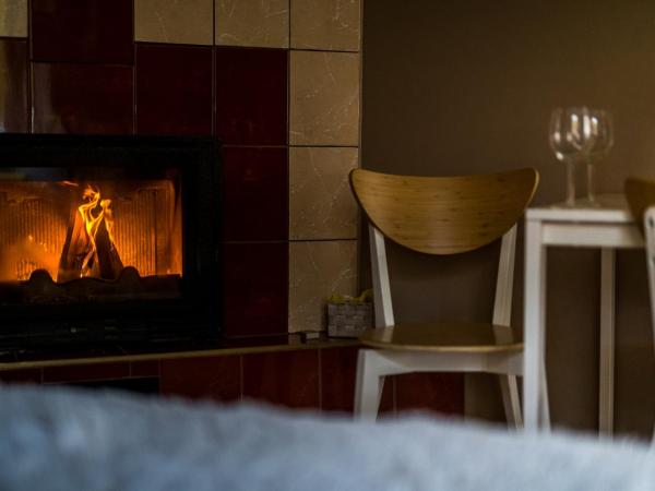 Pogodne Siedlisko Karpacz : photo 4 de la chambre studio