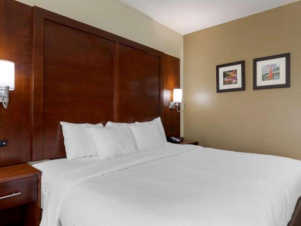Comfort Inn & Suites Near Six Flags & Medical Center : photo 6 de la chambre chambre lit king-size - non-fumeurs