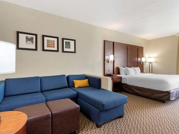 Comfort Inn & Suites Near Six Flags & Medical Center : photo 4 de la chambre suite lit king-size – non-fumeurs