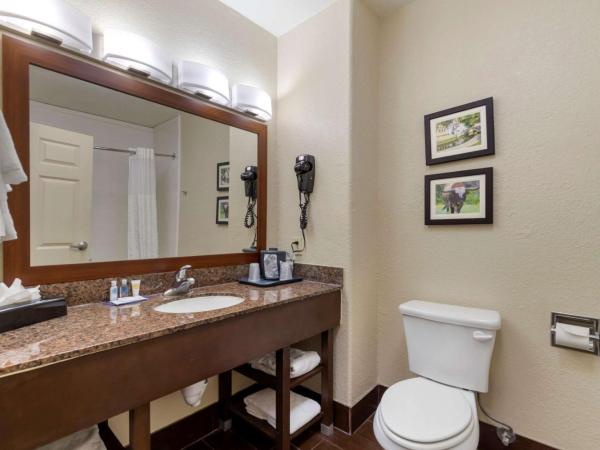 Comfort Inn & Suites Near Six Flags & Medical Center : photo 3 de la chambre chambre lit king-size - non-fumeurs