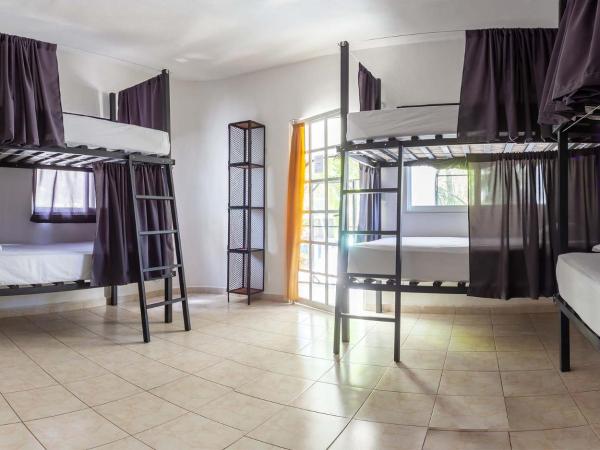 Hostel Oryx Tulum : photo 2 de la chambre lit dans dortoir mixte de 8 lits 
