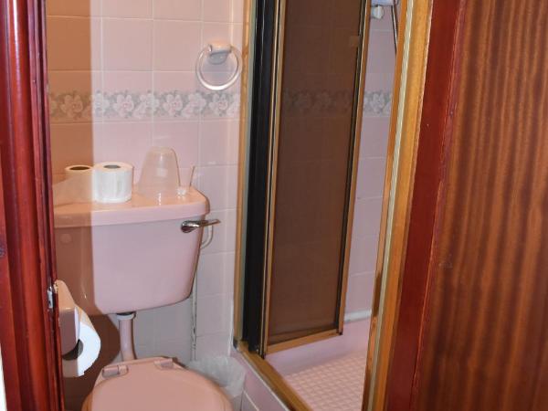 Lyndhurst Hotel : photo 1 de la chambre chambre simple avec salle de bains privative