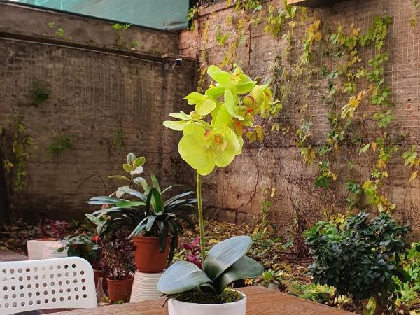 7brunnen Hostel & Guest House : photo 4 de la chambre lit dans dortoir pour femmes de 6 lits