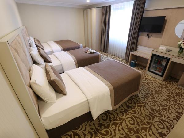 Alpinn Hotel Istanbul : photo 4 de la chambre chambre triple