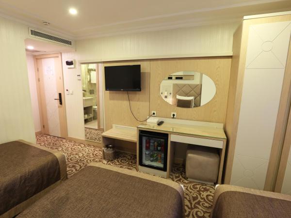 Alpinn Hotel Istanbul : photo 6 de la chambre chambre triple