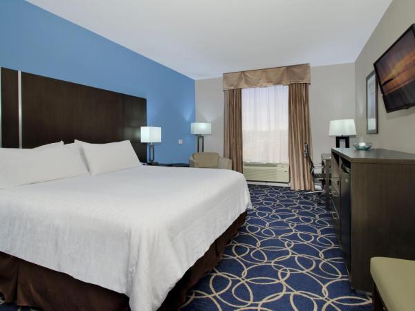 Holiday Inn Express and Suites Houston North - IAH Area, an IHG Hotel : photo 3 de la chambre chambre lit king-size loisirs