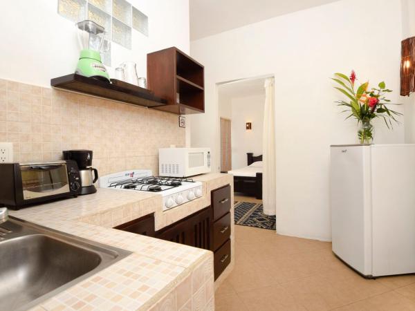 Villas El Encanto Cozumel : photo 7 de la chambre appartement 1 chambre