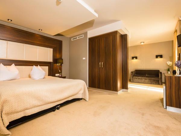 Duna Garden Hotel : photo 2 de la chambre chambre double supérieure