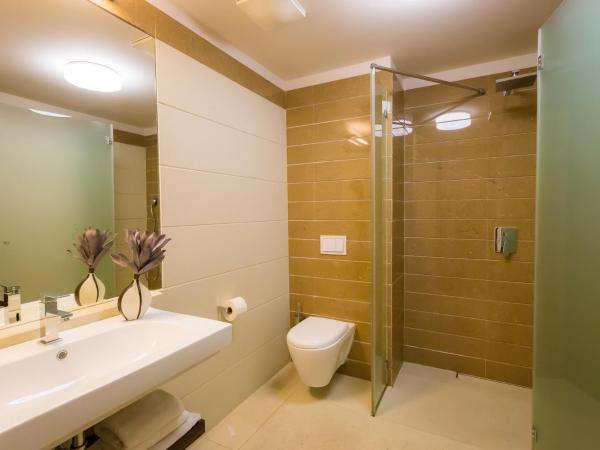 Duna Garden Hotel : photo 3 de la chambre chambre double supérieure