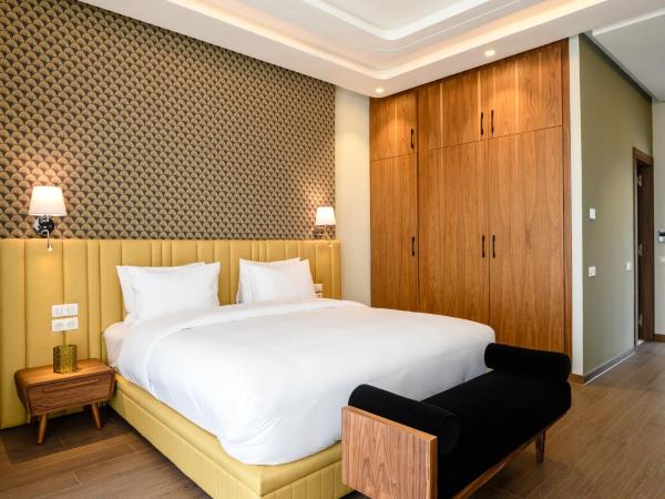 BH Appart Hotel : photo 7 de la chambre studio double standard