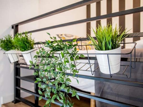 COOL LOFTS center valencia : photo 7 de la chambre chambre double avec salle de bains privative