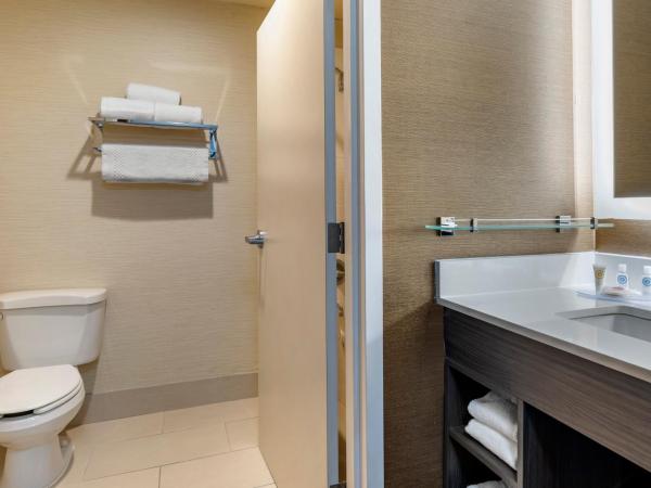 Comfort Inn & Suites North Dallas-Addison : photo 4 de la chambre suite lit king-size avec canapé-lit - non-fumeurs