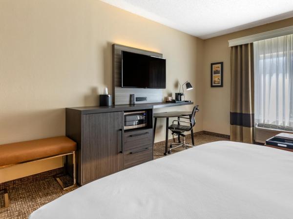 Comfort Inn & Suites North Dallas-Addison : photo 5 de la chambre suite junior lit king-size avec canapé-lit – non-fumeurs