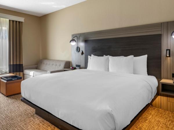 Comfort Inn & Suites North Dallas-Addison : photo 4 de la chambre suite junior lit king-size avec canapé-lit – non-fumeurs