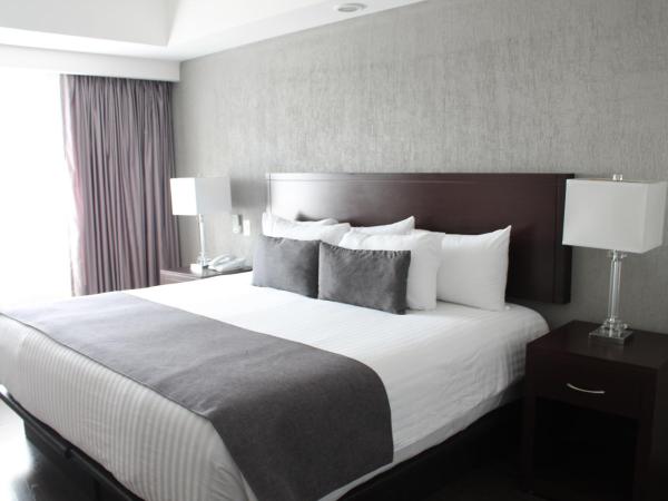 Ejecutivo Express Guadalajara Providencia - Av México : photo 2 de la chambre chambre lit king-size standard