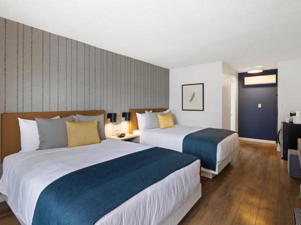 Sea Harbor Hotel - San Diego : photo 1 de la chambre chambre standard avec 2 lits queen-size