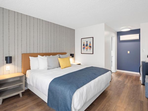 Sea Harbor Hotel - San Diego : photo 1 de la chambre chambre lit queen-size - accessible aux personnes à mobilité réduite