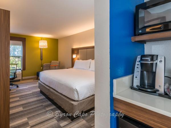 Holiday Inn Express Hotel & Suites Jacksonville-South, an IHG Hotel : photo 1 de la chambre chambre lit king-size