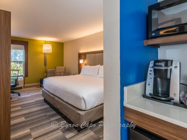 Holiday Inn Express Hotel & Suites Jacksonville-South, an IHG Hotel : photo 1 de la chambre hébergement lit king-size standard