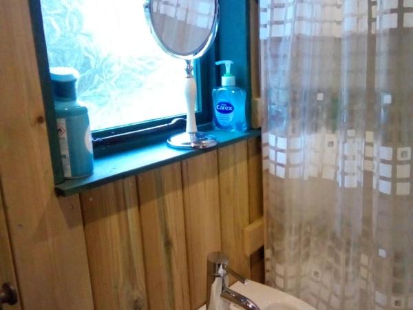 Lower Haven Shepherds Hut : photo 3 de la chambre chambre double deluxe avec douche