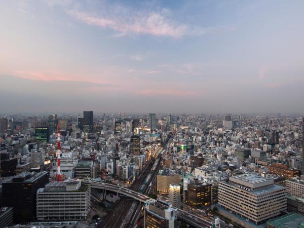 Hotel Metropolitan Tokyo Marunouchi : photo 3 de la chambre chambre lit queen-size - non-fumeurs