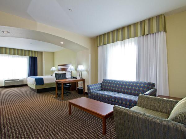 Holiday Inn Express and Suites Denver East Peoria Street, an IHG Hotel : photo 4 de la chambre suite lit king-size avec canapé-lit