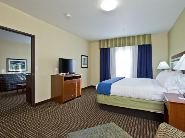 Holiday Inn Express and Suites Denver East Peoria Street, an IHG Hotel : photo 3 de la chambre suite 1 chambre