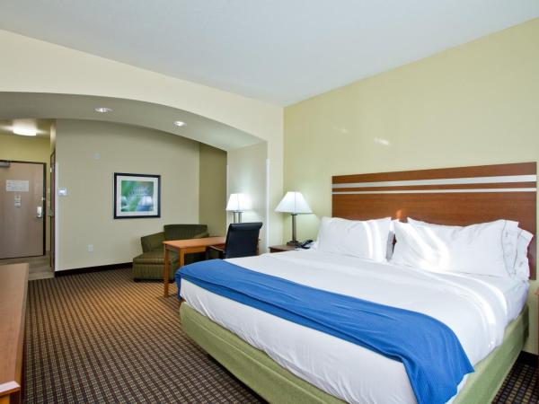 Holiday Inn Express and Suites Denver East Peoria Street, an IHG Hotel : photo 2 de la chambre standard king room with extra floor space