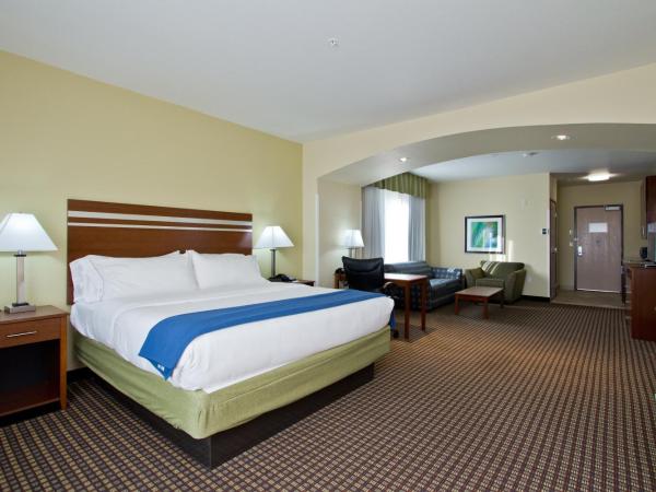 Holiday Inn Express and Suites Denver East Peoria Street, an IHG Hotel : photo 5 de la chambre suite lit king-size avec canapé-lit