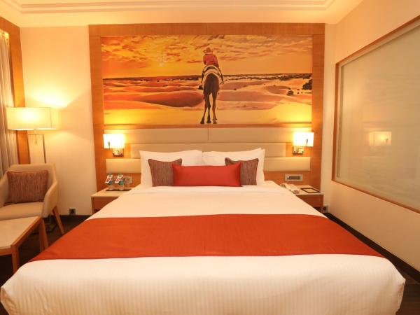 Regenta Central Udaipur, Court Circle : photo 2 de la chambre chambre deluxe double ou lits jumeaux