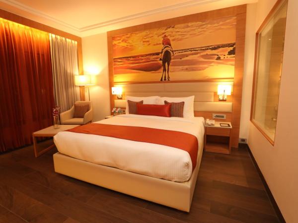 Regenta Central Udaipur, Court Circle : photo 5 de la chambre suite royale