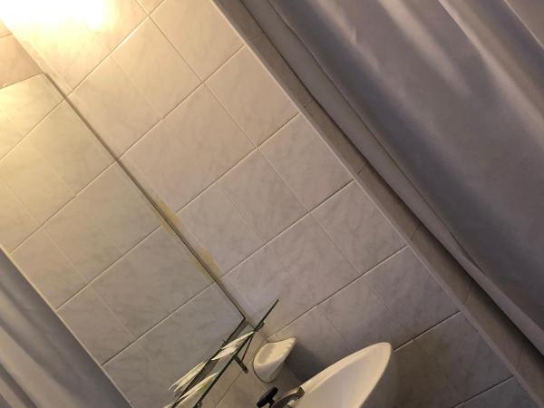 Palace Hotel Mendoza : photo 3 de la chambre chambre simple