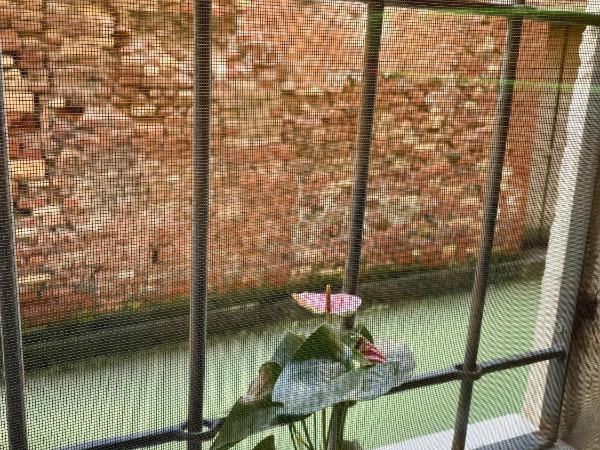 Hayez Rooms : photo 4 de la chambre studio