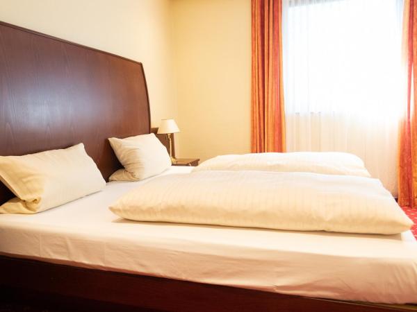 Hotel Haus am Zoo : photo 2 de la chambre chambre triple confort avec vue sur jardin