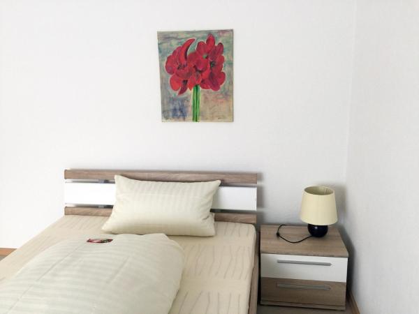 Hotel Haus am Zoo : photo 1 de la chambre appartement standard