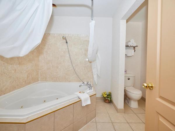 The Glengate Hotel & Suites : photo 6 de la chambre suite lune de miel avec jacuzzi