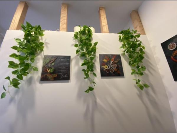 Schulz Apartments Zentrum : photo 7 de la chambre appartement - rez-de-chaussée