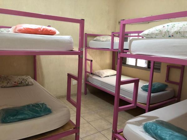 Zen Garden Hostel Mirandópolis : photo 3 de la chambre lit superposé dans dortoir pour femmes 