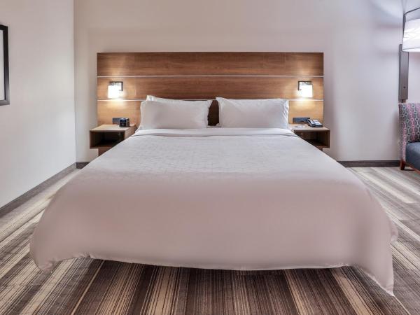 Holiday Inn Express & Suites - Nashville MetroCenter Downtown, an IHG Hotel : photo 1 de la chambre chambre lit king-size standard